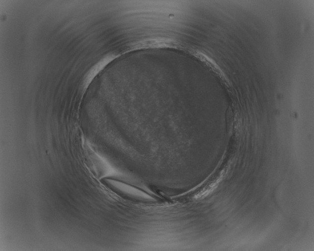 X0000073391081200608251428