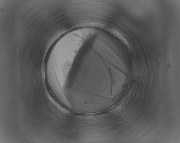 X0000073391084200608251428