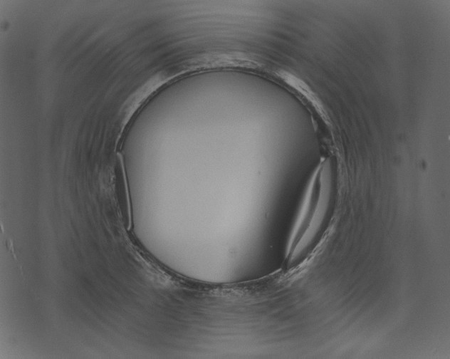 X0000073391089200608251428