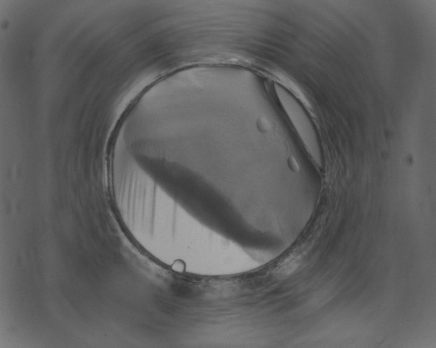 X0000073391095200608251428