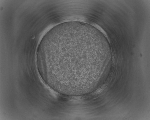 X0000073391096200608251428