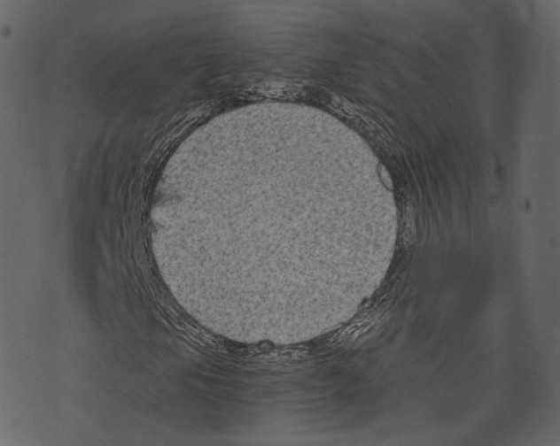 X0000073391105200608251427