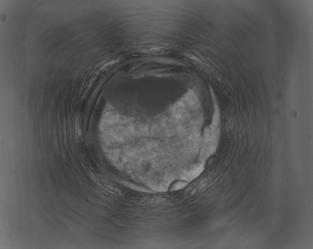 X0000073391106200608251427