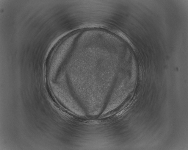 X0000073391124200608251427
