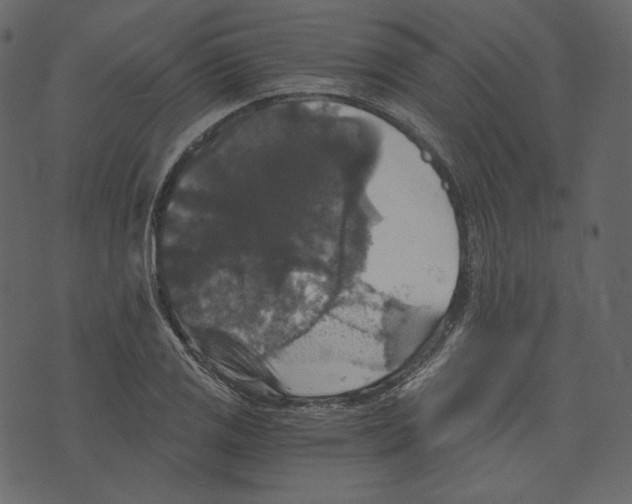 X0000073391125200608251427