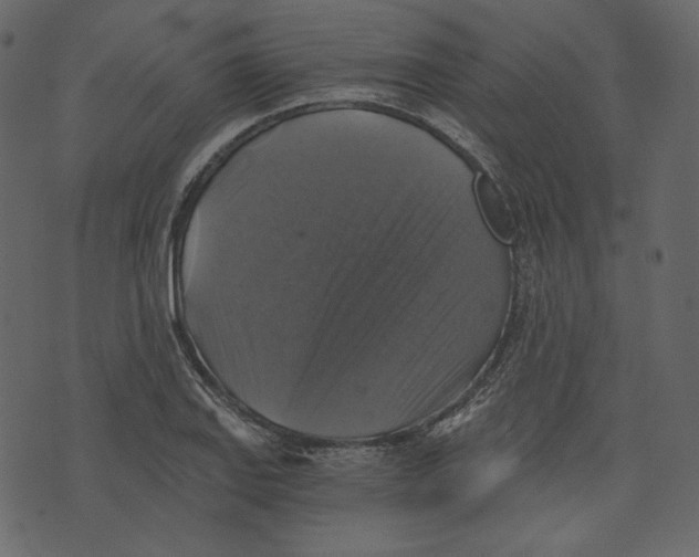 X0000073391127200608251427