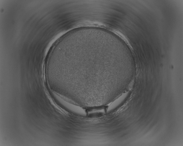 X0000073391128200608251427