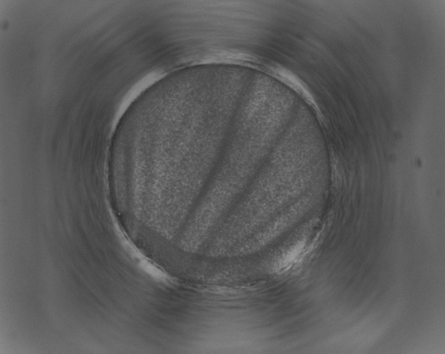 X0000073391138200608251427