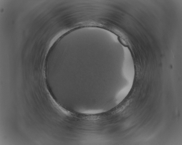 X0000073391141200608251427