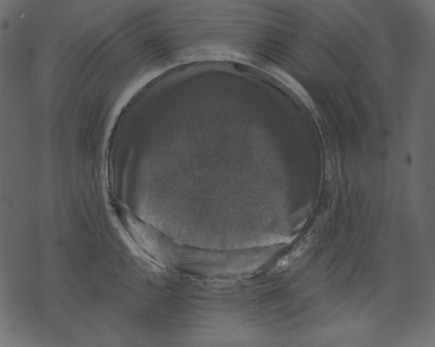 X0000073391144200608251427