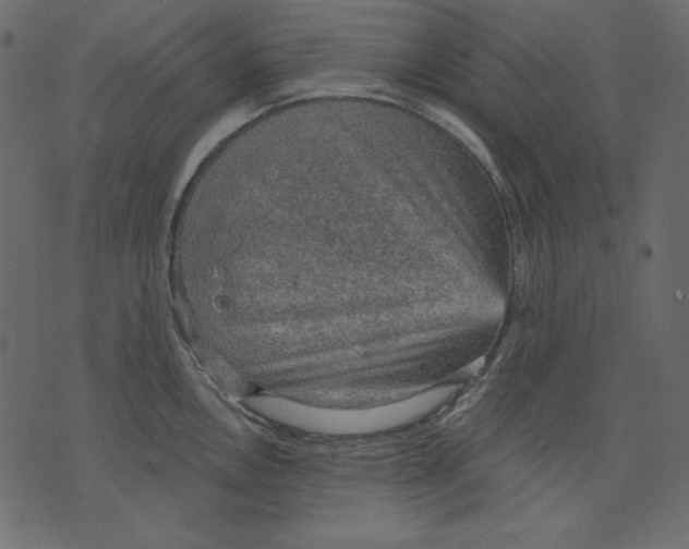 X0000073391146200608251428