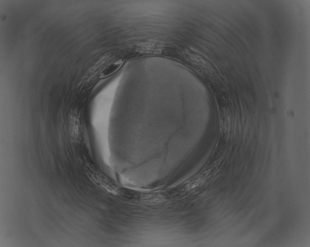 X0000073391154200608251427