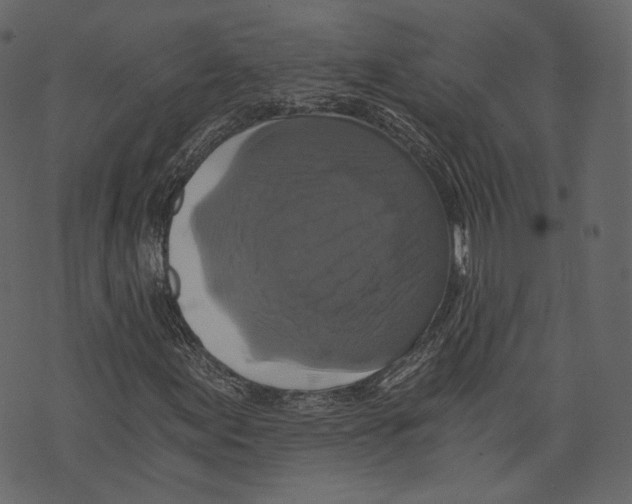 X0000073391155200608251427