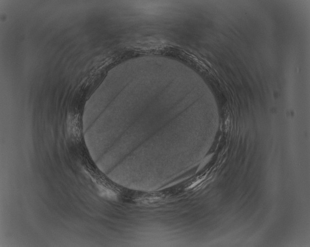 X0000073391156200608251427