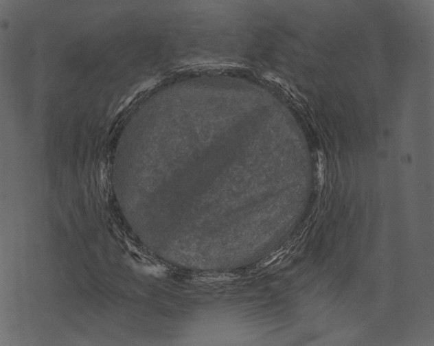 X0000073391157200608251427