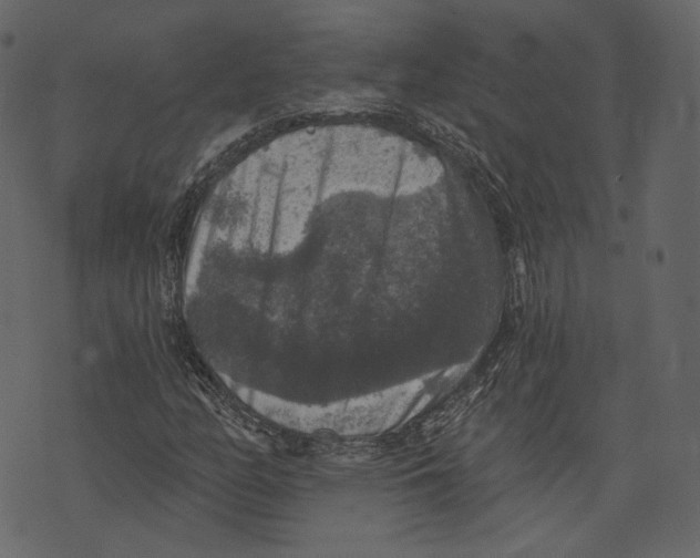 X0000073391158200608251427