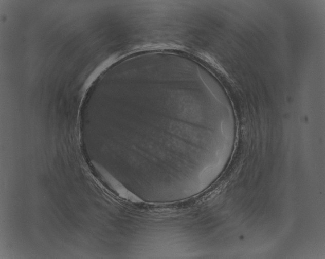 X0000073391173200608251426