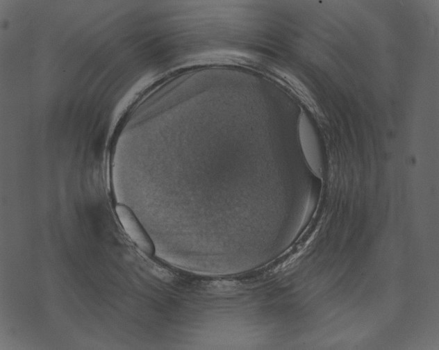 X0000073391180200608251426