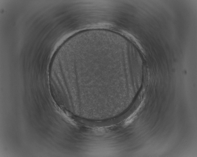 X0000073391184200608251426