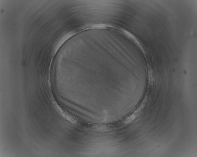 X0000073391194200608251426