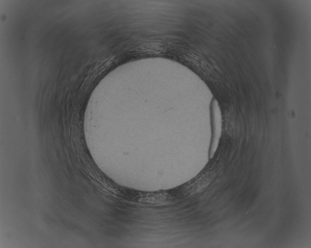 X0000073391201200608251425