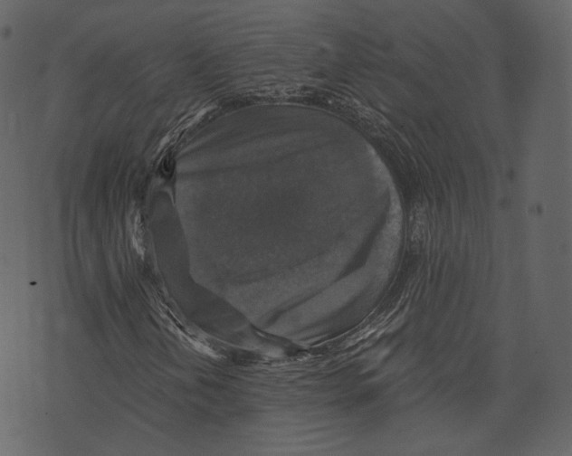 X0000073391202200608251425