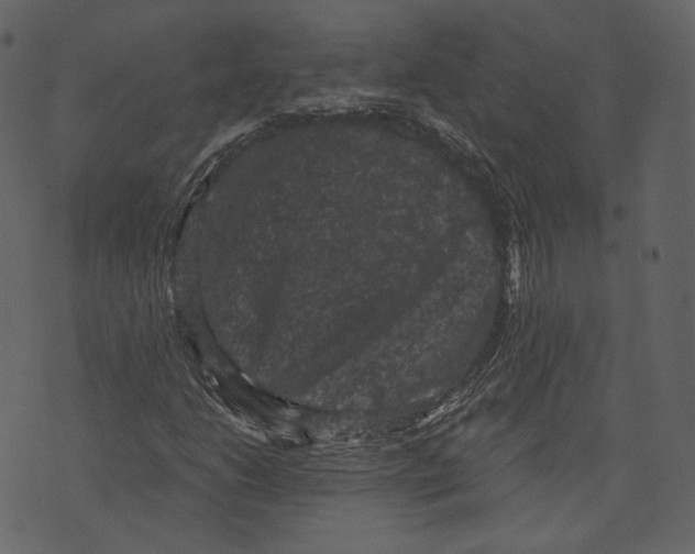 X0000073391206200608251425