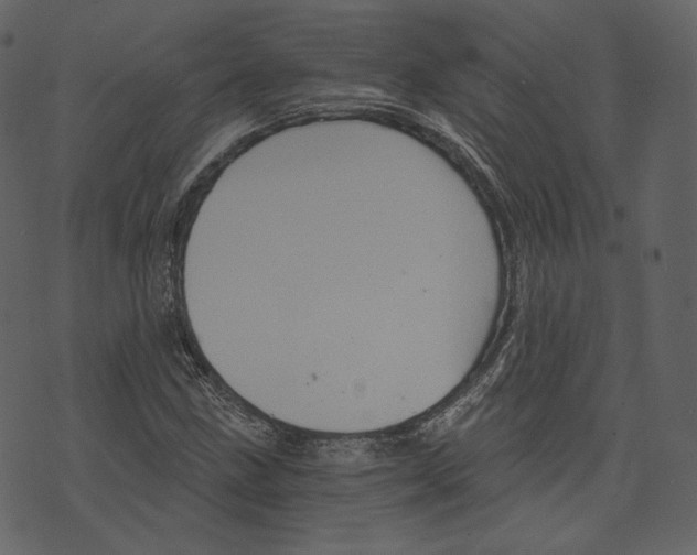 X0000073391211200608251425