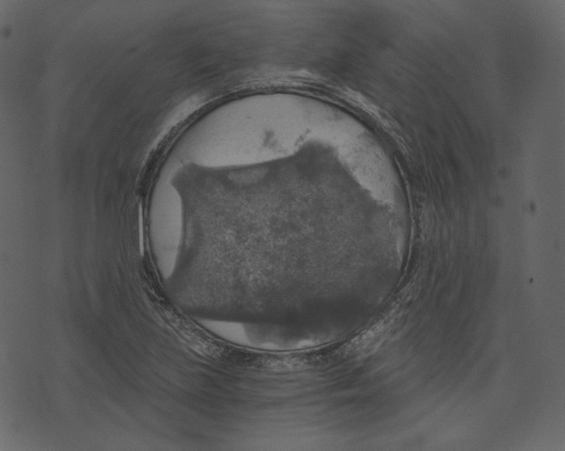 X0000073391219200608251426