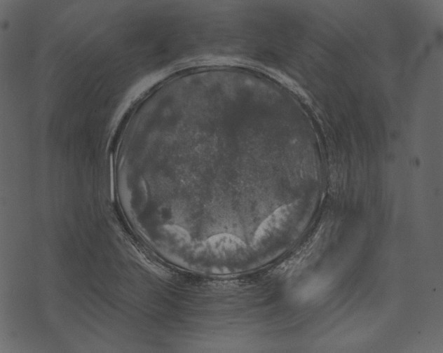 X0000073391223200608251426