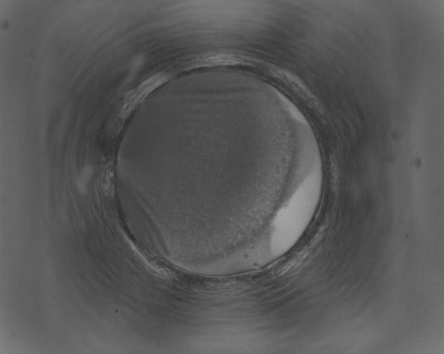X0000073391225200608251426