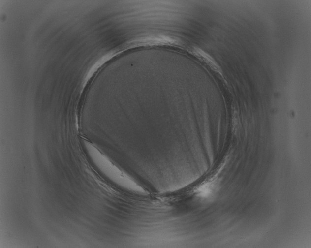 X0000073391226200608251426