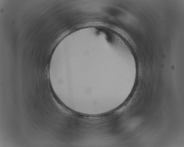 X0000073391241200608251426