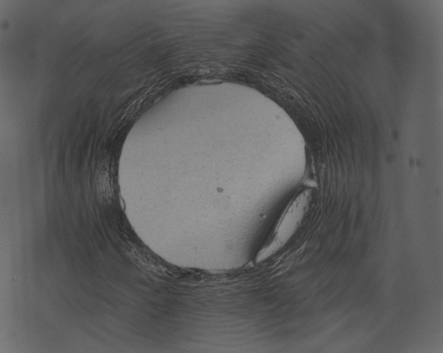 X0000073391250200608251425