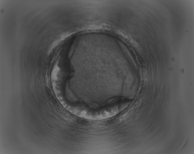 X0000073391262200608251425