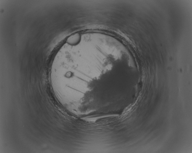 X0000073391263200608251425