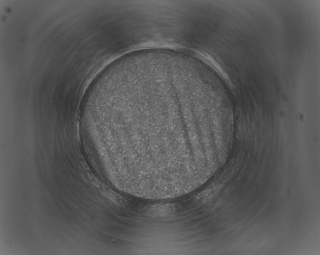 X0000073391268200608251425