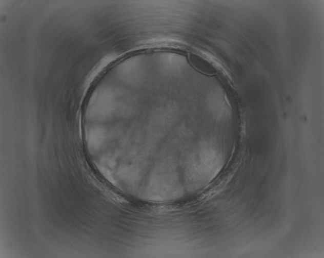 X0000073391275200608251425