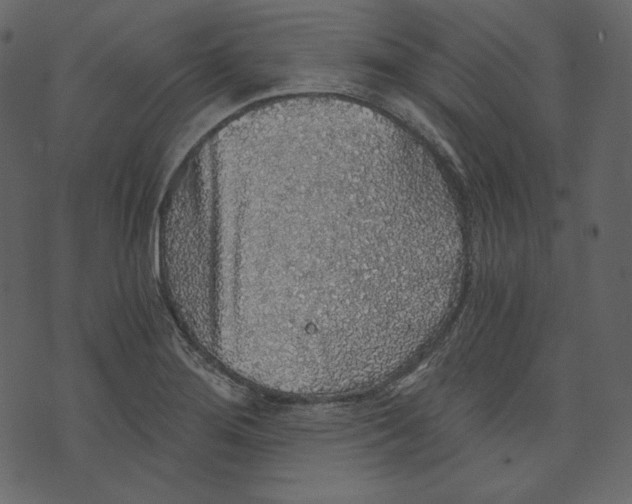 X0000073391276200608251425