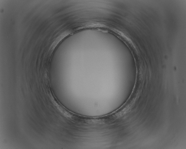 X0000073391281200608251425