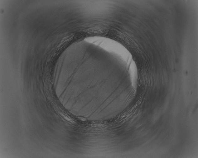 X0000073391297200608251424