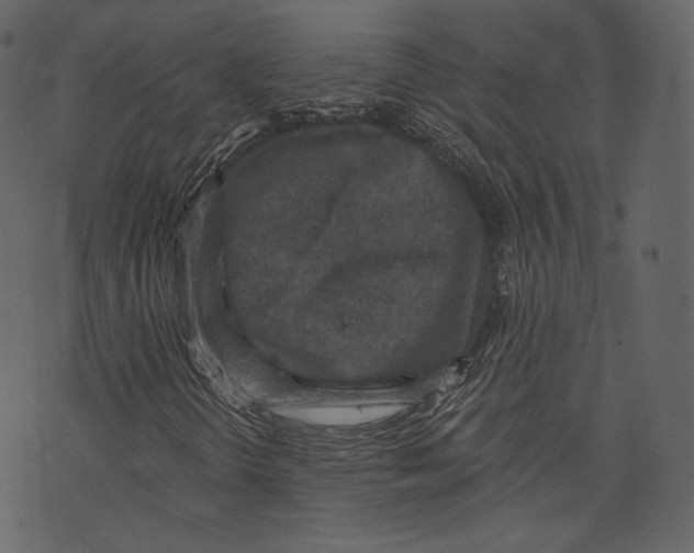 X0000073391298200608251424