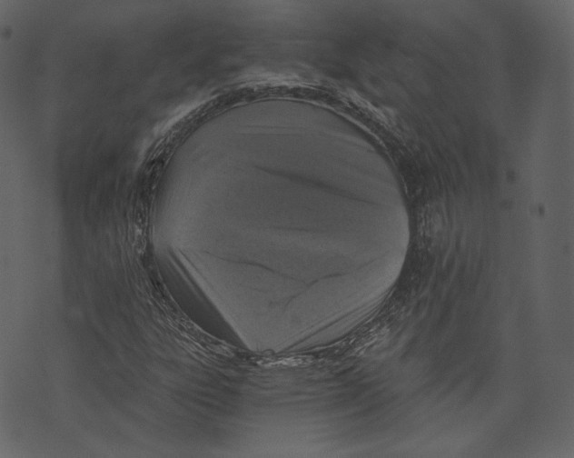 X0000073391303200608251424