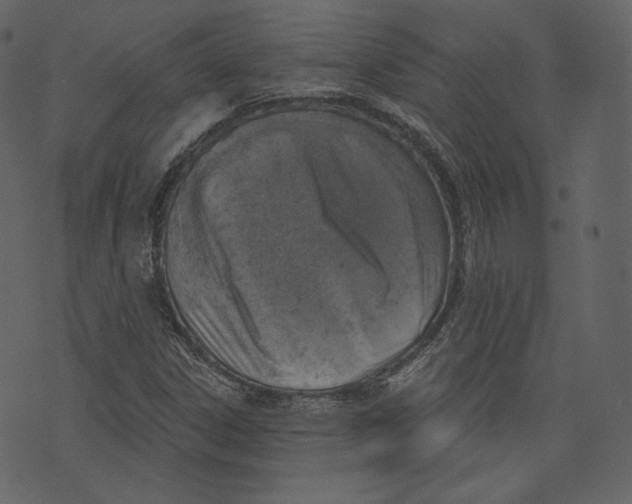 X0000073391306200608251424