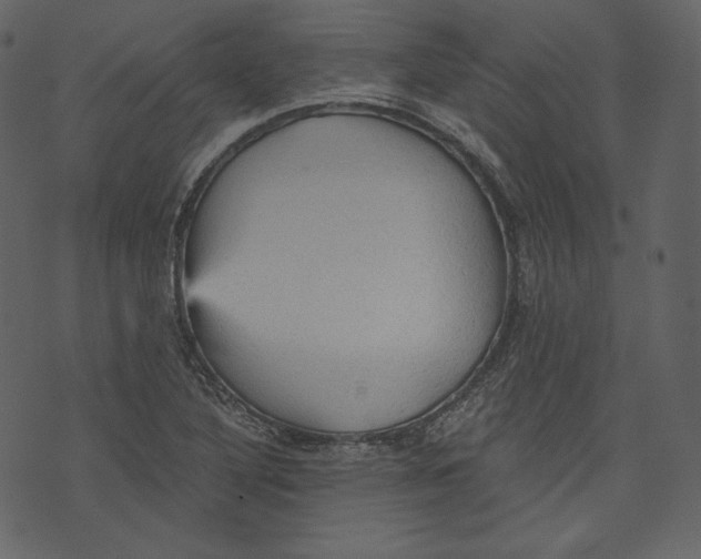 X0000073391316200608251424