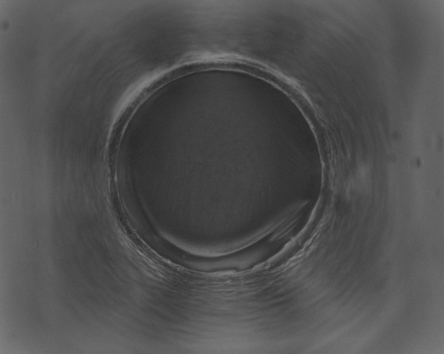 X0000073391319200608251424