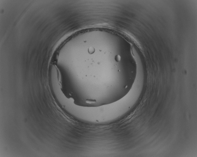 X0000073391324200608251424