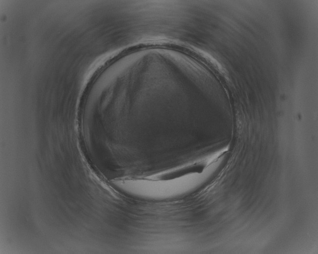 X0000073391327200608251424