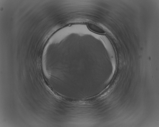 X0000073391329200608251424