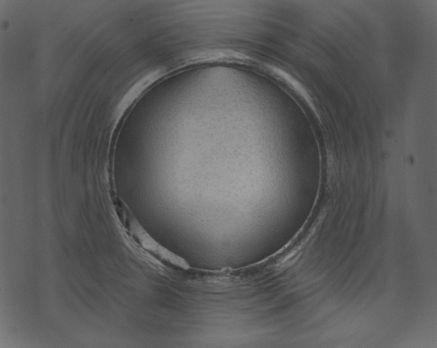 X0000073391330200608251424